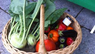 Maria Manufaktur - Regional - Fair - Bio - Vegan in Auerbach