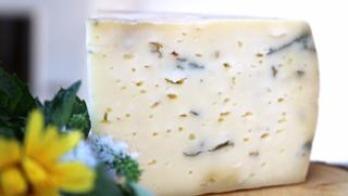 Bärlauch Schnittkäse Tilsiter Art Tilsiter Schnittkäse von Hofkäserei Ecker in Grafenau