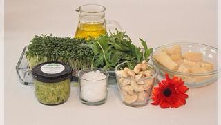 Kresse-Pesto Kressepesto von Pestowerkstatt in Passau