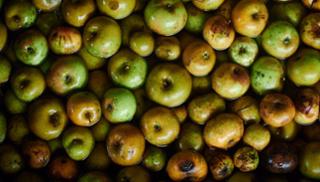 brand°8 - Feinste Obstdestillate in Münchham