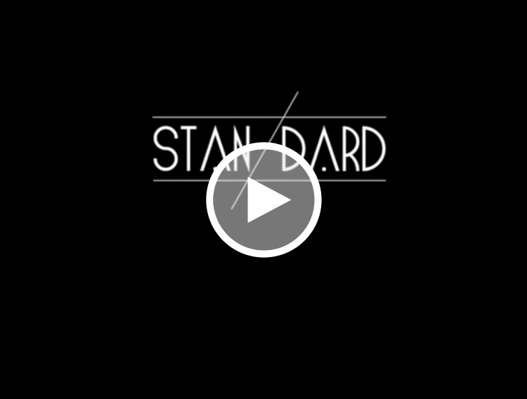 video-standard