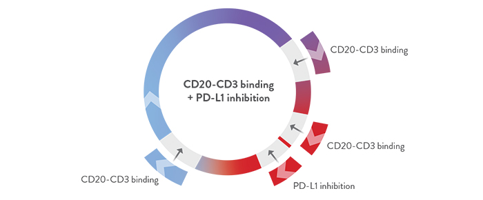 Roche CD20-CD3 CD20