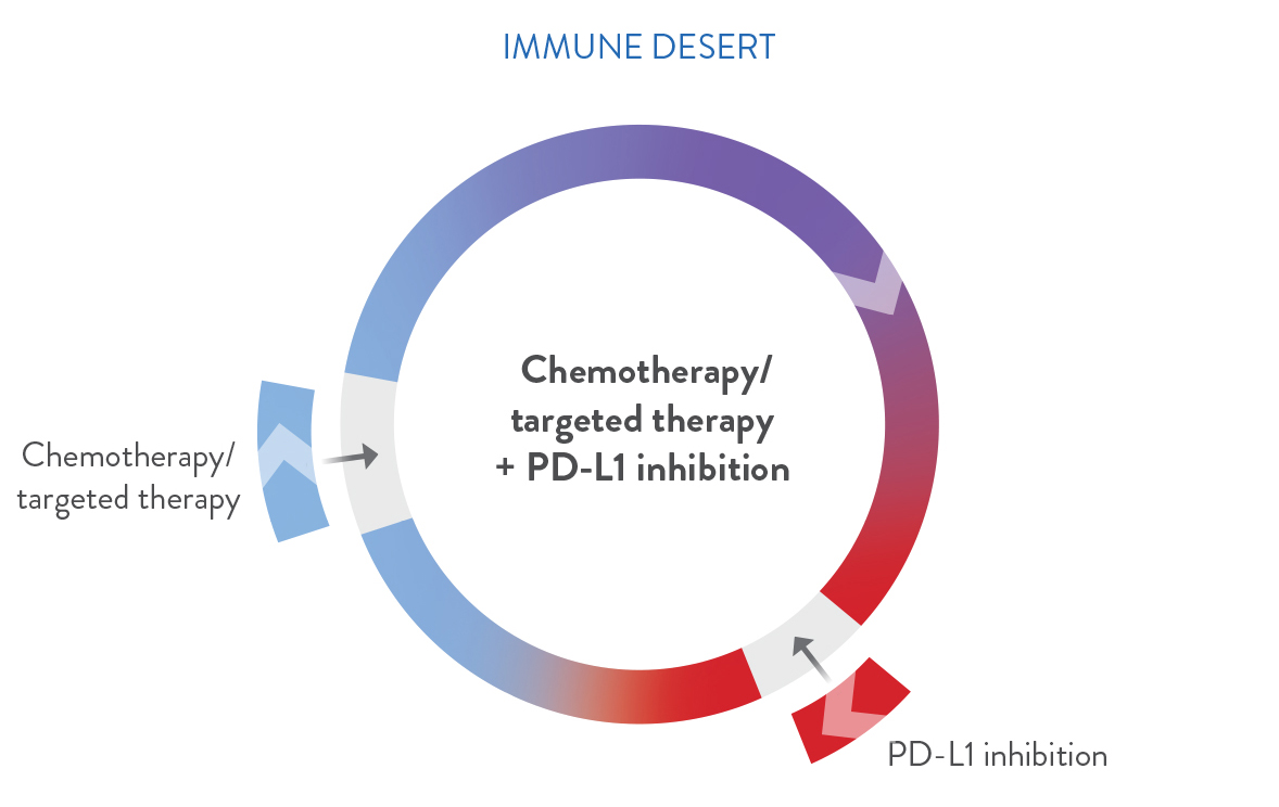 Combination strategies circle - immune desert