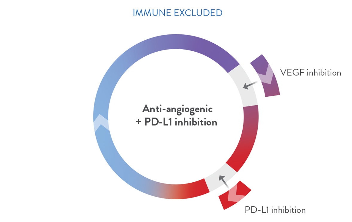 immune excluded strategy