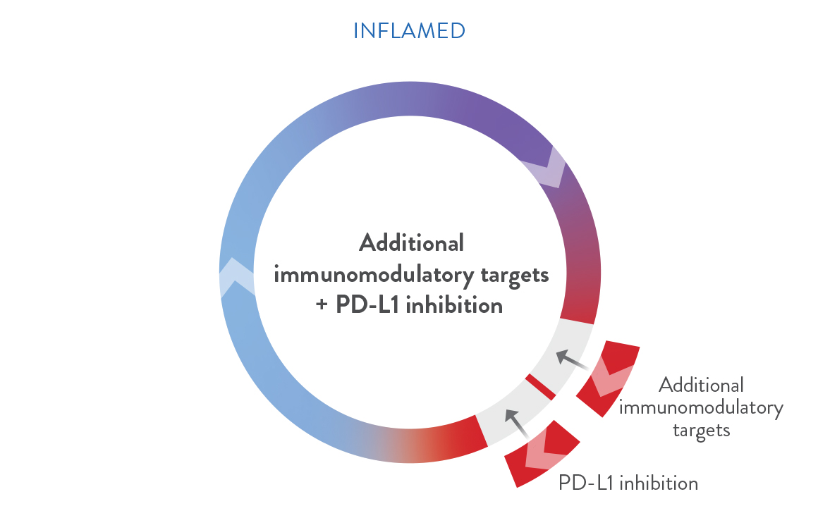 immune inflamed