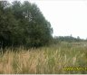 Parduodamas 0,2115 ha žemės ūkio paskirties sklypas Startų k., Karsakiškio sen., Panevėžio -0