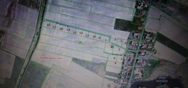 167 a sklypas Klaipėdos r. sav., Plikiai-0