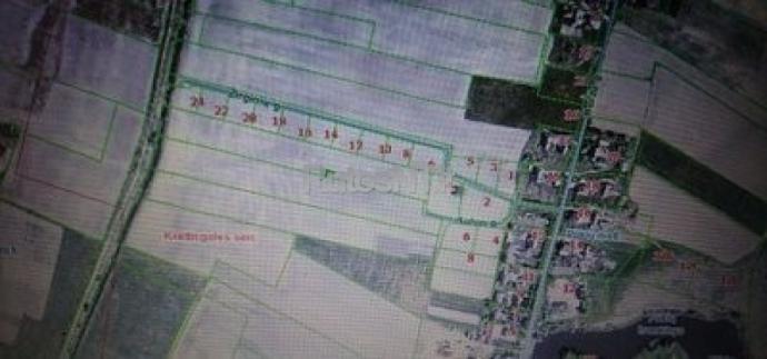 167 a sklypas Klaipėdos r. sav., Plikiai-0