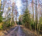 Pardduodamas 2,46 ha. sklypas, Barkelių k., Kretingos raj.-0