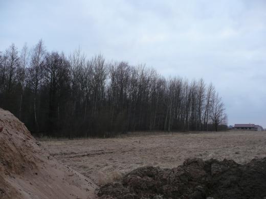 9 ARŲ SKLYPAS MASTAIČIUOSE PRIE MIŠKO - PRIEŠAIS LAKŠTINGALŲ GATVĘ-0