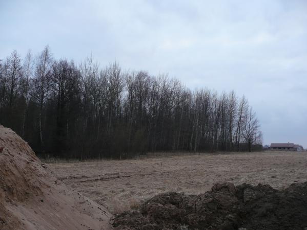 9 ARŲ SKLYPAS MASTAIČIUOSE PRIE MIŠKO - PRIEŠAIS LAKŠTINGALŲ GATVĘ-0