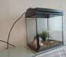 Puikus 30 l akvariumas TETRA-0