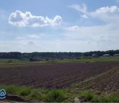 Šiaulių r. sav., Žuvininkų k., Rasos g., žemės ūkio paskirties sklypas -0