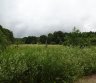 parduodame 16,24 ha žemės sklypą su sena sodyba -0