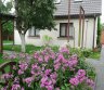 Išnuomojamas 2 kambarių butas nuo gruodžio 1 dienos - nuosavoje valdoje prie LSMU Veterinarijos akademijos ir p/c ''ŠILAS'', A. Stulginskio gatvėje - vienai arba dviems studentėms, moteriškei arba porai be vaikų ir gyvūnų-0