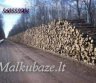 Malkos Druskininkuose-0