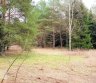 Parduodamas namų valdos paskirties sklypas Molėtų r. sav., Kaulakių k.-0