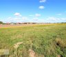 Parduodamas namų valdos paskirties sklypas Klaipėdos r. sav., Radailių k., Saulės al.-0