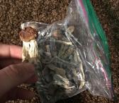 Psilocibinas, Ald-52, ketaminas, mefedronas, DMT, M.D.M. Parduodamas-0
