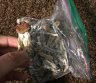 Psilocibinas, Ald-52, ketaminas, mefedronas, DMT, M.D.M. Parduodamas-0