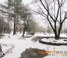 gerasbutas.lt - PARDUODAMAS BUTAS SU VAIZDU Į PARKĄ-0