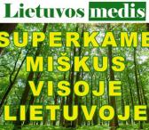 "Lietuvos medis” brangiai perka miska visoje Lietuvoje-0