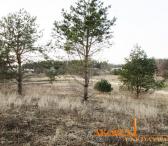 sklypaipardavimui.lt - PARDUODAMI NAMŲ VALDOS SKLYPAI VIENBUČIŲ IR DVIBUČIŲ NAMŲ STATYBAI-0