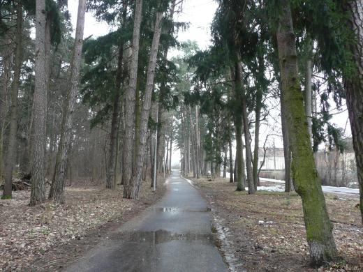 Parduodama namo dalis 66 kv. m su 5 arų sklypu Vičiūnuose prie pušyno Pažaislio g.-0
