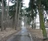 Parduodama namo dalis 66 kv. m su 5 arų sklypu Vičiūnuose prie pušyno Pažaislio g.-0