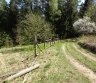 46 ha miškas su jame esančiu 6 ha ežeru Trakų raj.-0