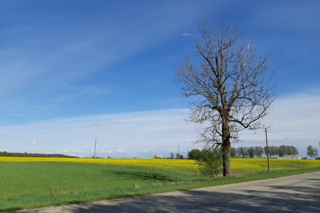 Žemės sklypas Samališkės km.-0