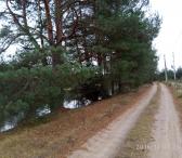 PARDUODAMAS PRIE UPĖS 1,6 HA ŽEMĖS SKLYPAS NERIES REGIONINIAME PARKE-0
