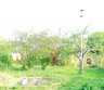 Parduodu sklypa.-0