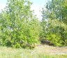 Parduodu sklypa.-0