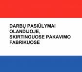 DARBŲ PASIŪLYMAI OLANDIJOJE FABRIKUOSE-0