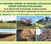 Krūmų ir savaime užaugusio miško kirtimas Kita -0