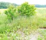 Parduodu sklypa.-0