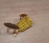 Auksinės sąsagos 10,95g-0