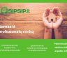 SIPSIP.LT- SIP plokščių gamyba bei skydiniai namai. -0