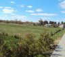 24 a sklypas Lazdijuose-0