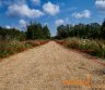 SKLYPAIPARDAVIMUI.LT - BAJORAI.GALIMYBĖ PASIRINKTI IŠ 7 SKLYPŲ-0