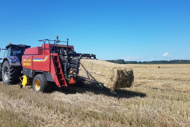 Ekologiški rugių šiaudai-0