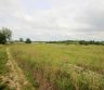 PARDUODAMAS ŽEMĖS ŪKIO PASKIRTIES SKLYPAS, KURIO PASKIRTIS GALIMĄ KEISTI Į NAMŲ VALDA, REIVYČIŲ K., MAŽEIKIŲ R. -0