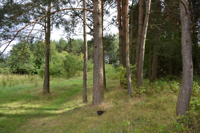 SKUBIAI pirksiu buta Vilniuje -0