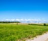 Parduodamas 15 a. namų valdos sklypas, Laukų g, Pryšmačių k., Kretingso raj.-0
