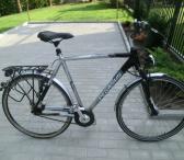 Parduodamas dviratis Pegasus Premio SL He.28"Trek.8G.sw(09)-0