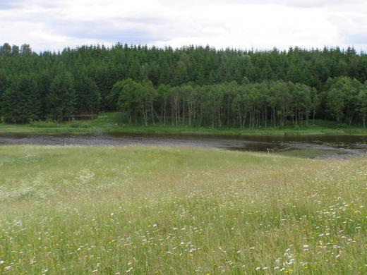 Nebrangus sklypelis ant tvenkinio kranto Antalamėstės k. Utenos r.-0