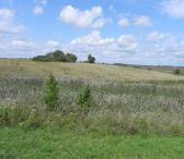 Sklypas Anyksčių raj. Kurklių sen. Plaštakos km.-0