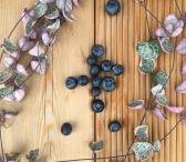 !!!AKCIJA!!! Maumedžio terasinės lentos - 13.00eur/m2-0