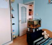 Dviejų kambari ų butas SIMONAITYTĖS G.,150 EUR-0
